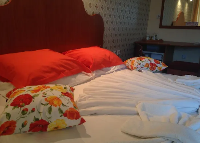 Family Deykin Hotel Sunny Beach